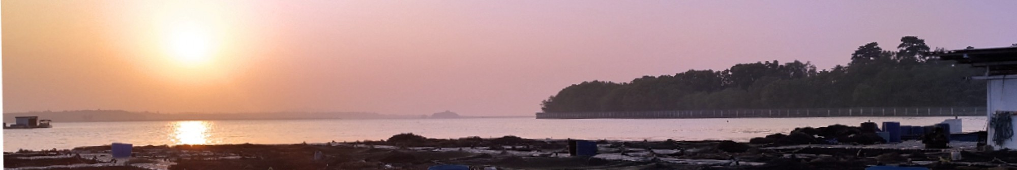 Fresh Fish · Direct from Sea Farm to Kitchen · Tiberias Harvest