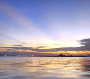 Tiberias Harvest Pte Ltd